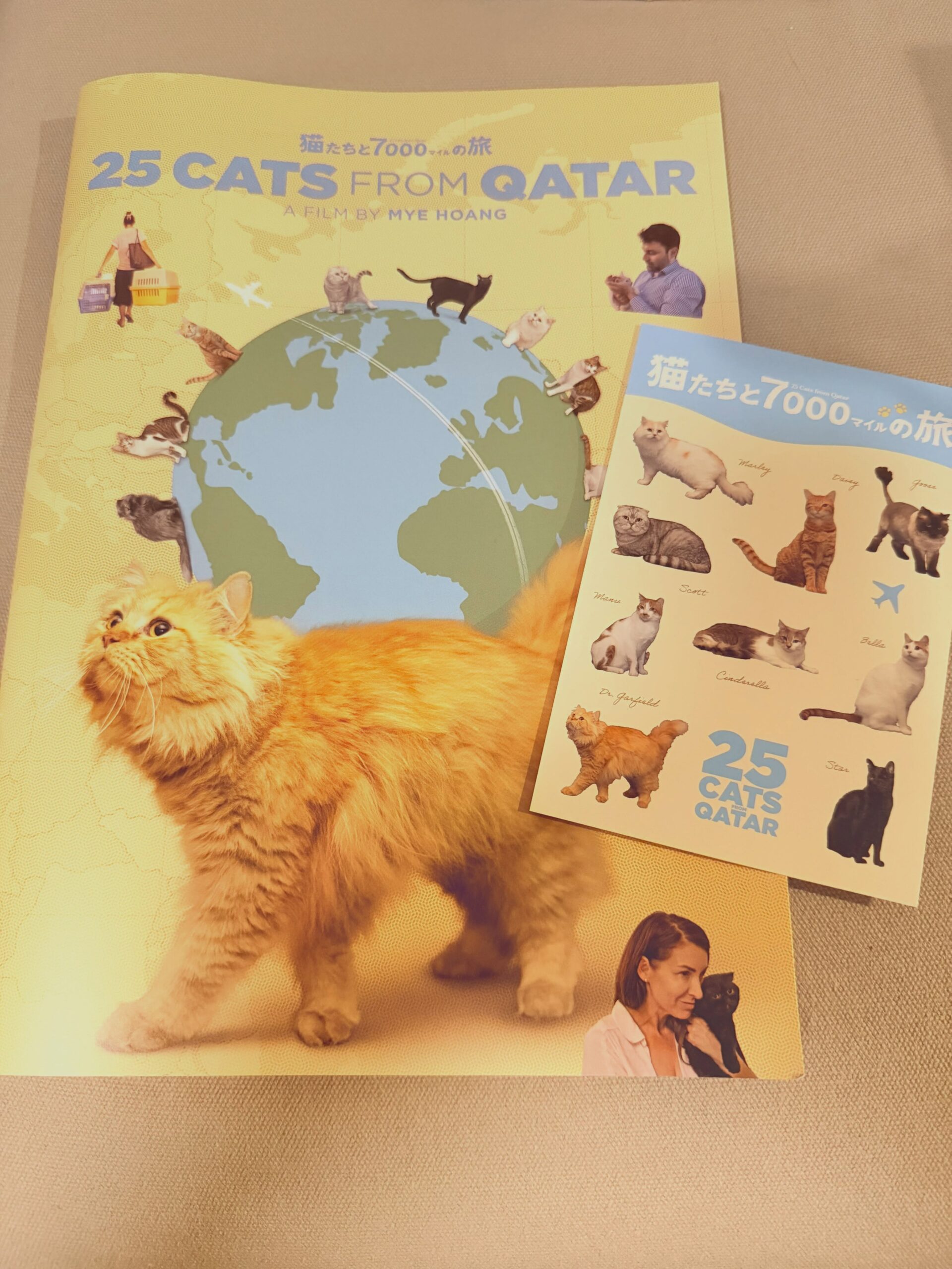 猫たちと7000マイルの旅をオススメ