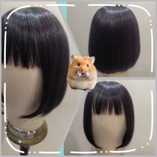 ウィッグで秋のイメージチェンジ